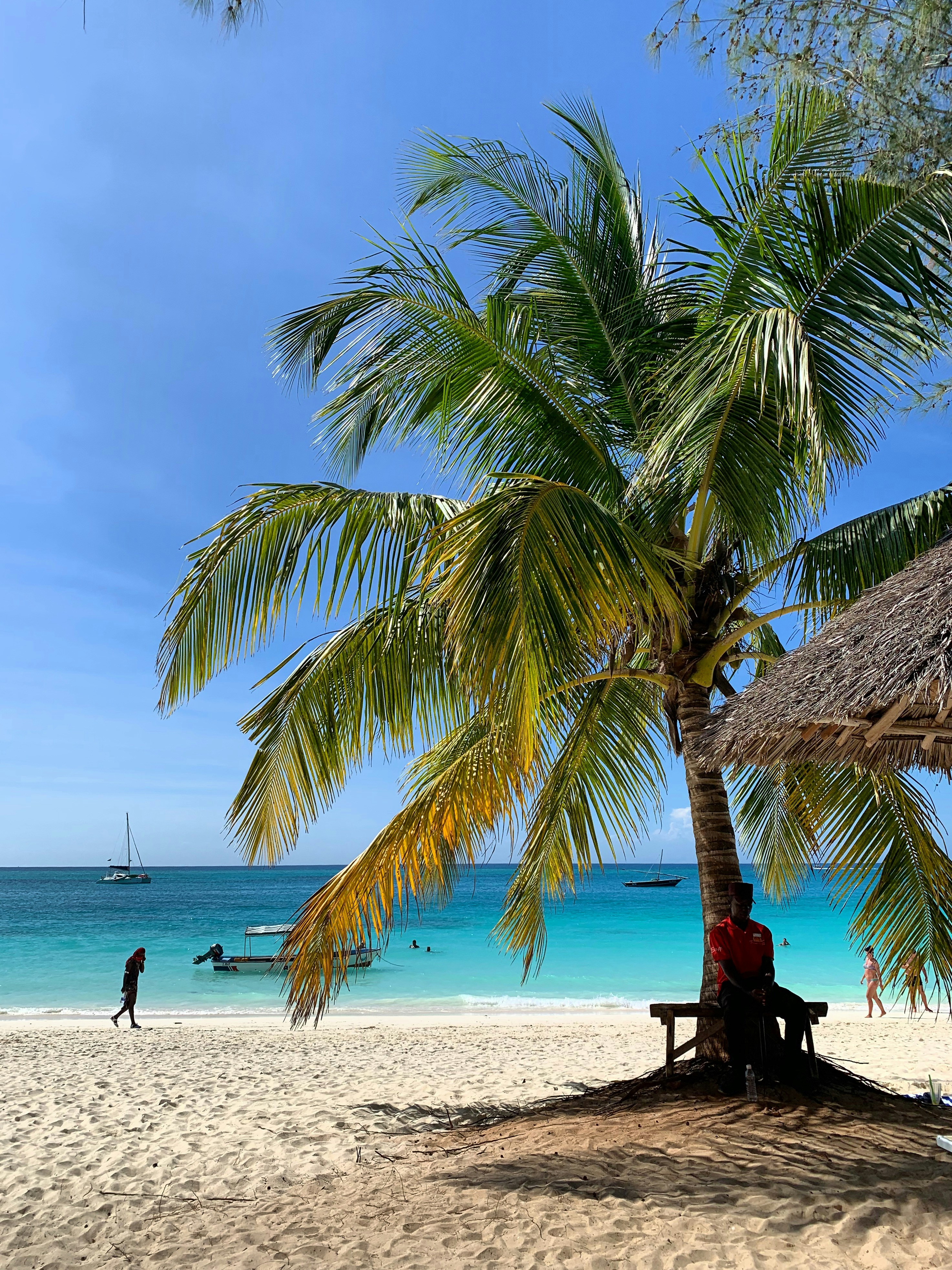 Τανζανία & Ζανζιβάρη – Ο Απόλυτος Προορισμός: Απεριόριστο Αφρικανικό Σαφάρι & Θαλάσσιες Περιπέτειες