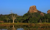 Images