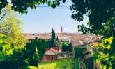 Images
