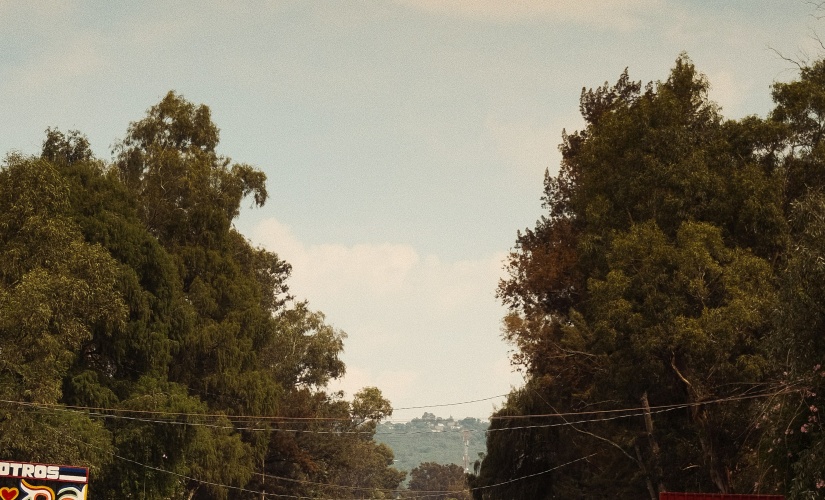 Images